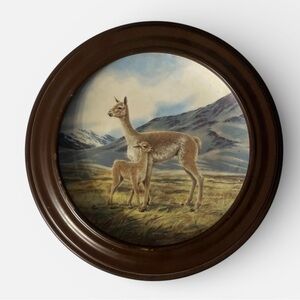 Will Nelson Vicuña endangered species collectible China plate numbered framed